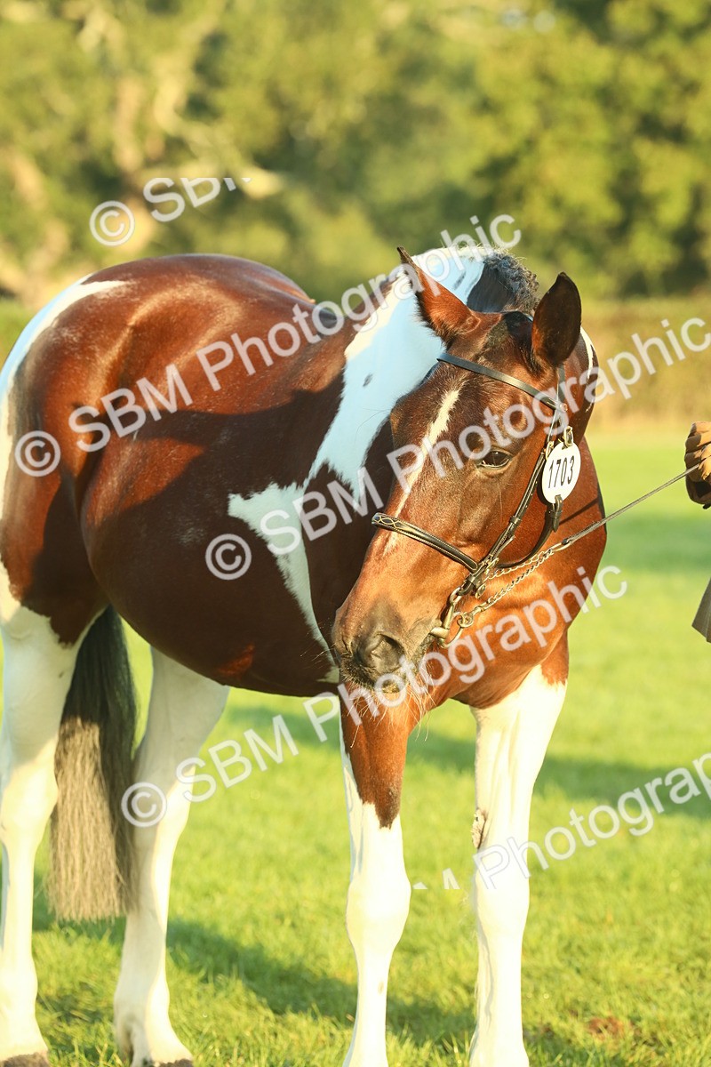 SBM_56535 - S36 - Starters Best Turnout