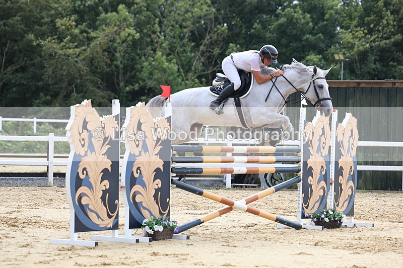 3E7A4498 - Class 8: Senior Foxhunter/1.20 open