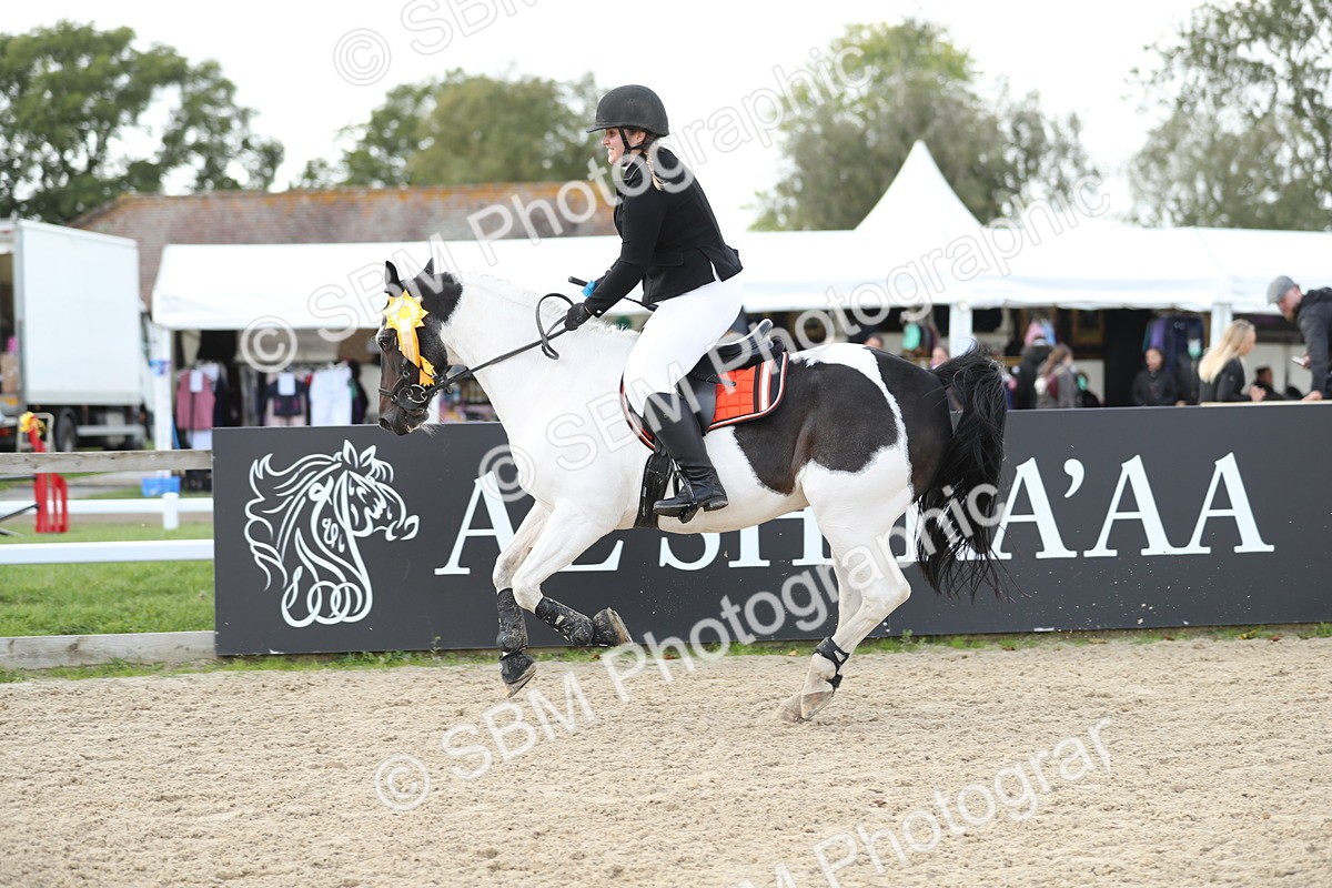 SBM_06578 - J29 - Senior Horse & Pony 65cm Championship