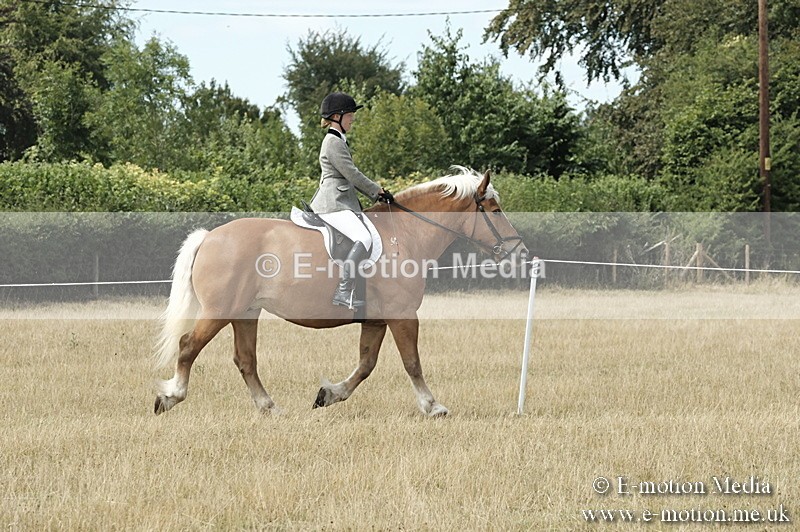 _PJP6052 - BVRC Show 2018 Ring 1