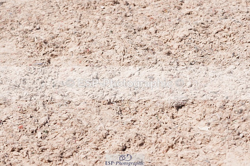 250503-134004-01153 - Cls 27 Stepping Stones