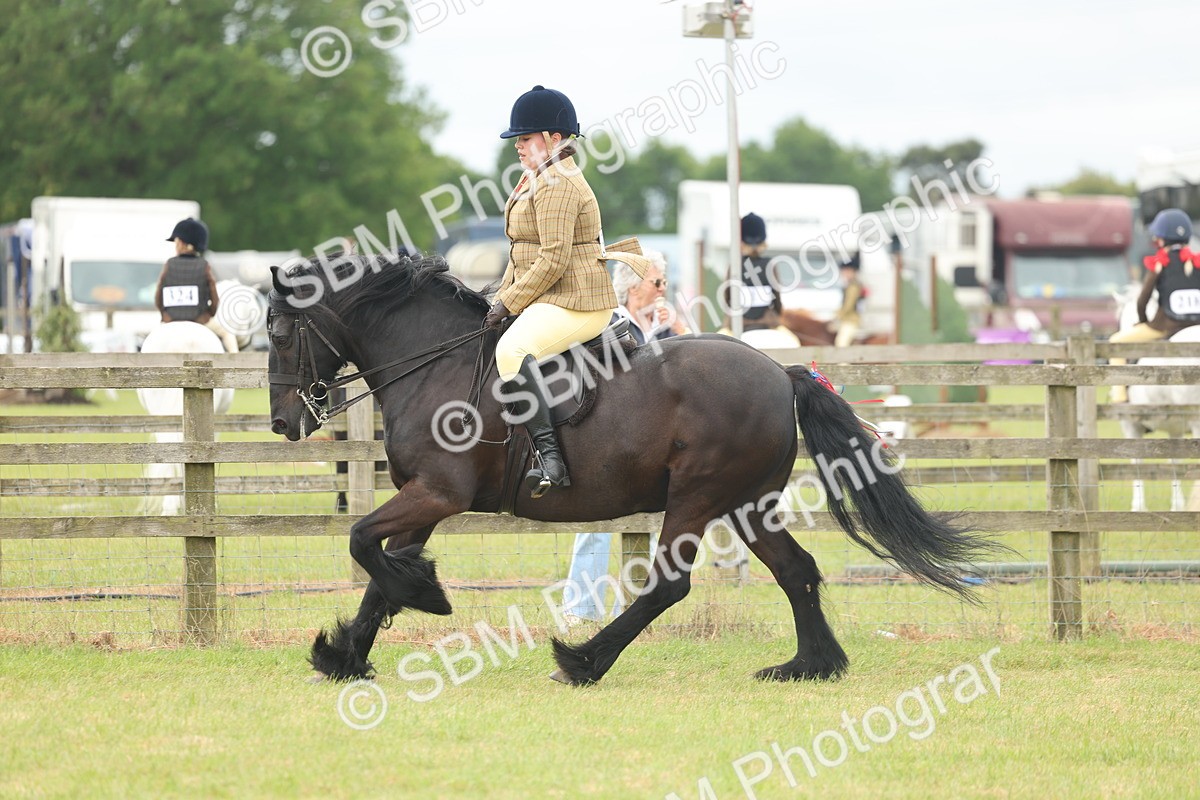 SBM_08978 - Class 78-80 - Ridden M&M Non Welsh Ponies