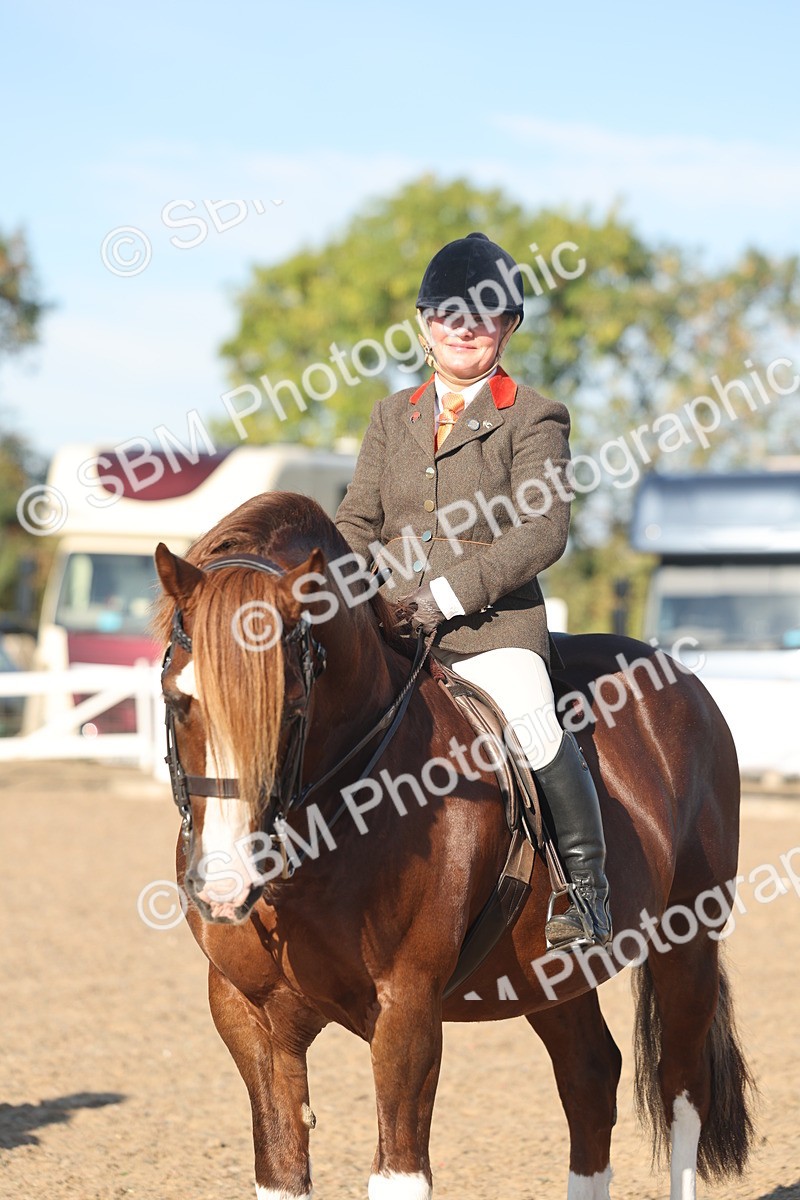 SBM_11069 - Class 302 - Ridden M&M Large Breeds