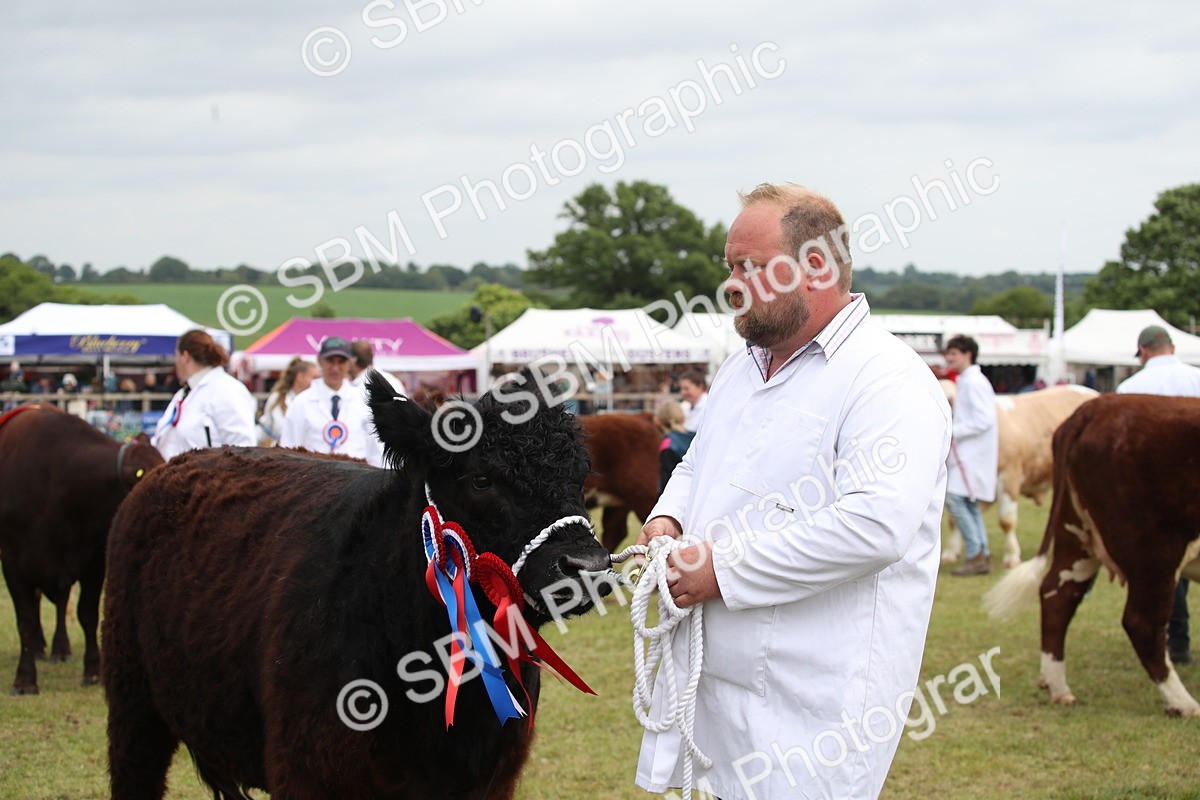 SBM_07905 - Grand Parade