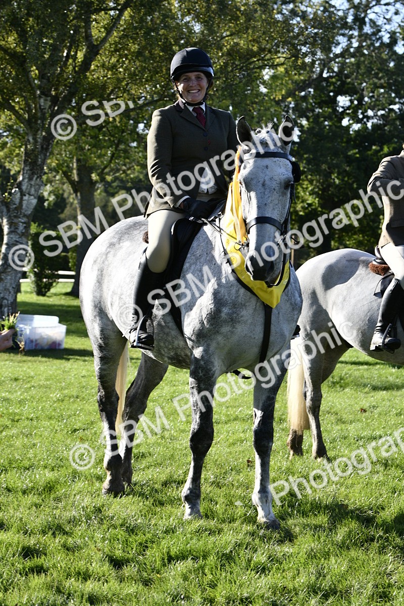 SBM_52257 - S35 - Working Hunter & Working Show Horse