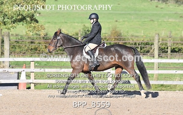 BPP_8559 - SHORT ARENA INTRO 3