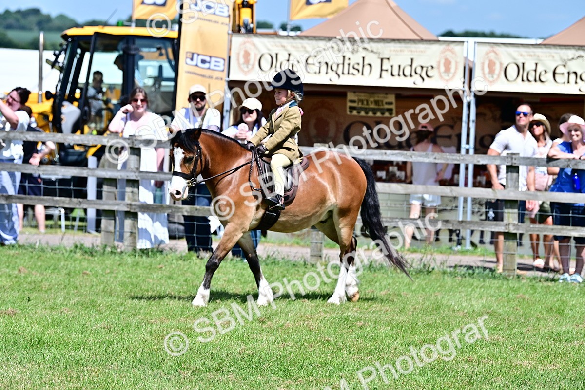 SBM_06116 - Class 59-60 - TSR M&M  Lear Rein and First Ridden Amateur of the year