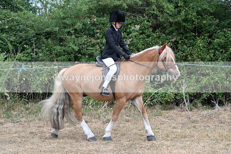 WJ7_6951 - Class 2 Best Rider