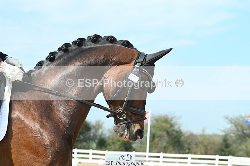 250403-103924-01517 - 048-Angus.Corrie-Deane-Maigret.VD.Watermolen