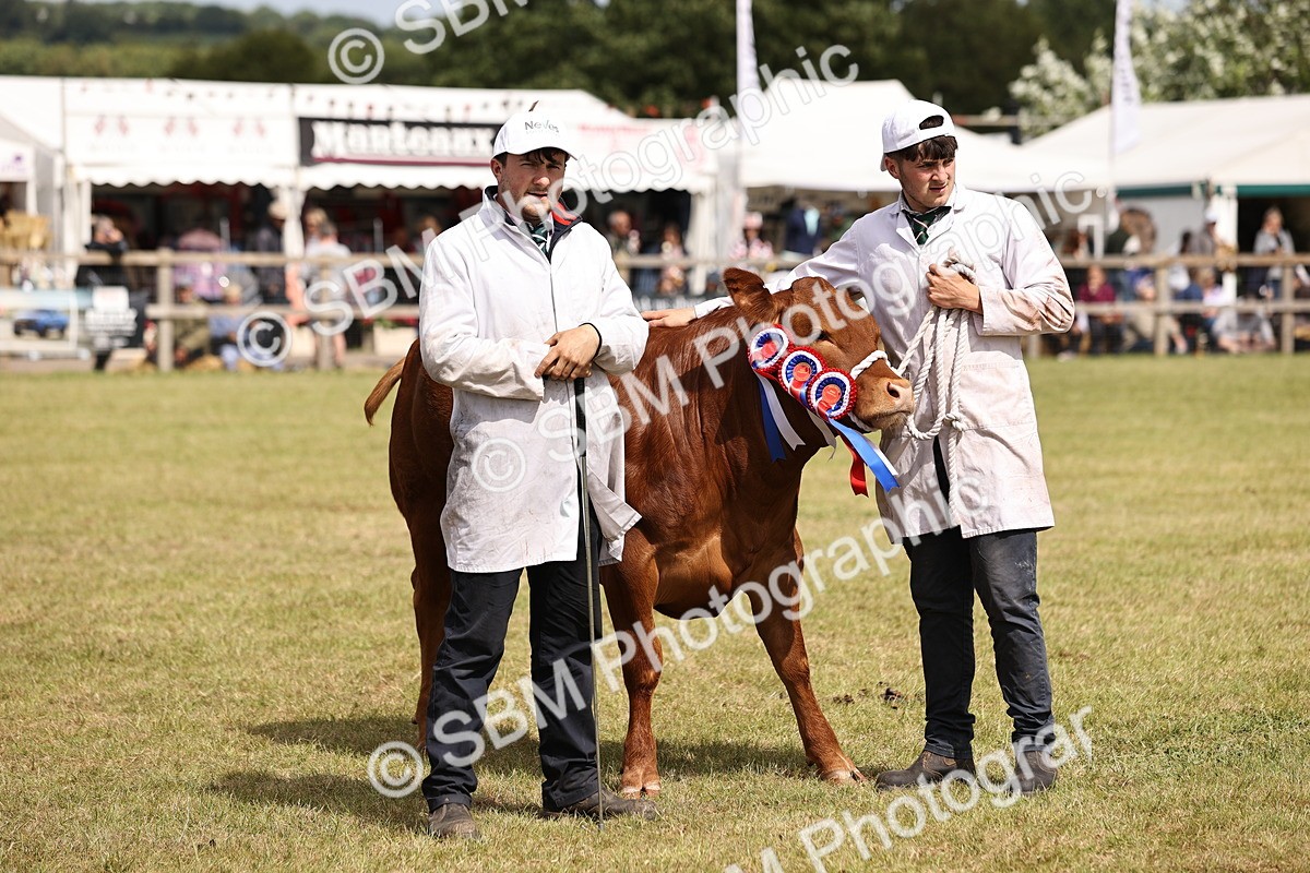 SBM_16945 - Grand Parade