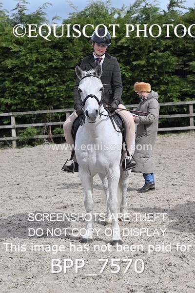 BPP_7570 - RING 1  (RIDDEN HORSES / IN HAND / VETERAN ETC)