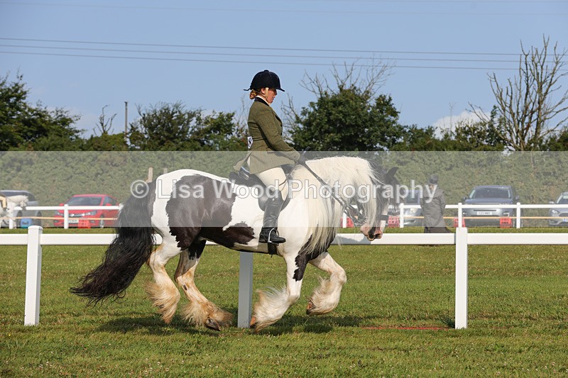 1X9A3275 - Class 28: Ridden Native/Trad Coloured Pony
