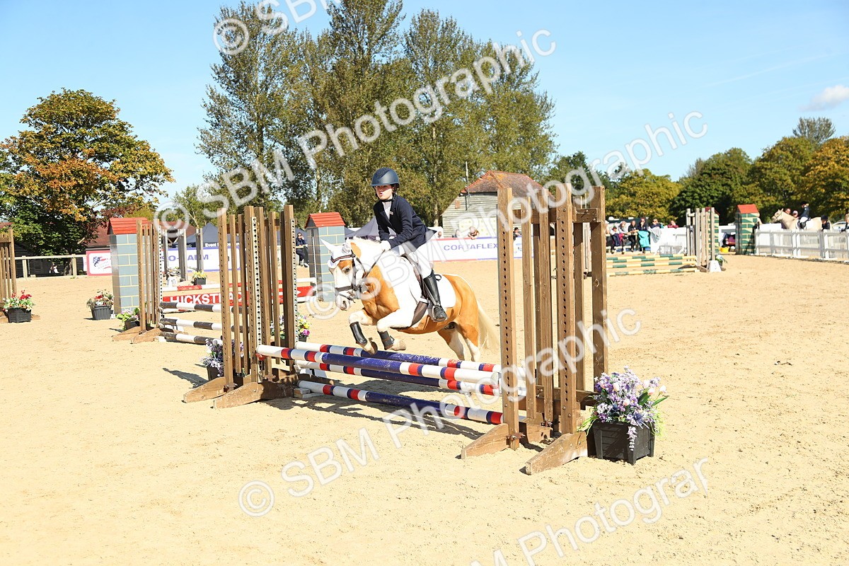 SBM_39342 - J6 - Junior Pony 55cm Championships