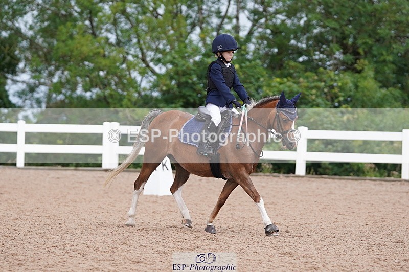 240809A-100516-00410 - Dressage Competition