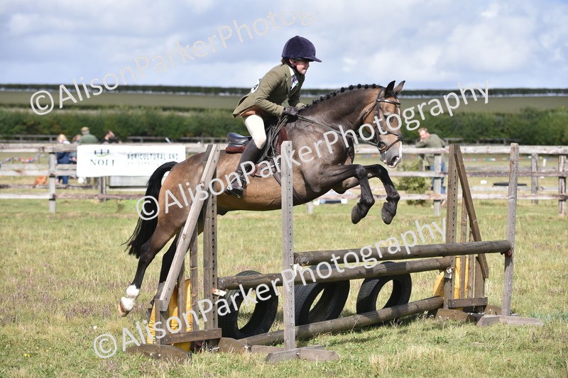 20250831-4101 - Class 13 - Working Hunter Horse or Pony