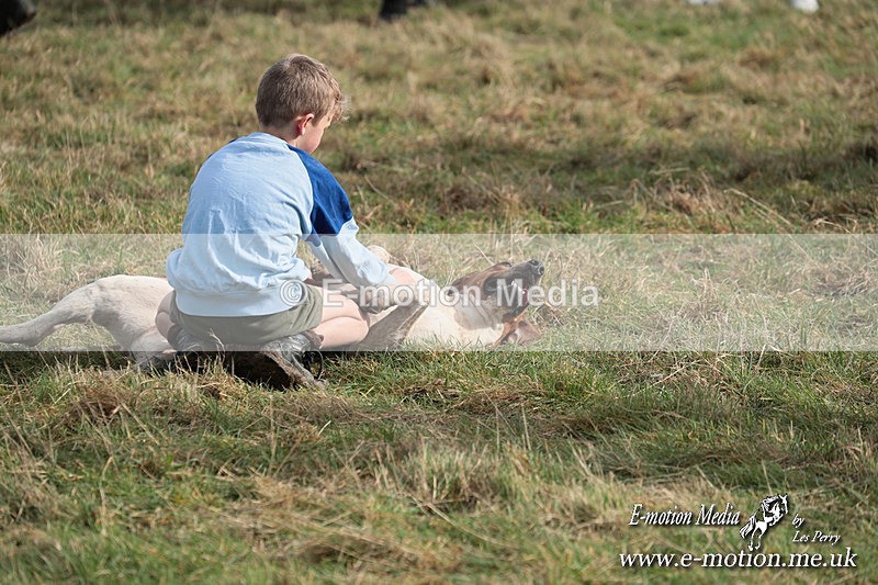 PtP 220225 363 - Kimblewick Point-to-Point  Kingston Blount 22/02/25
