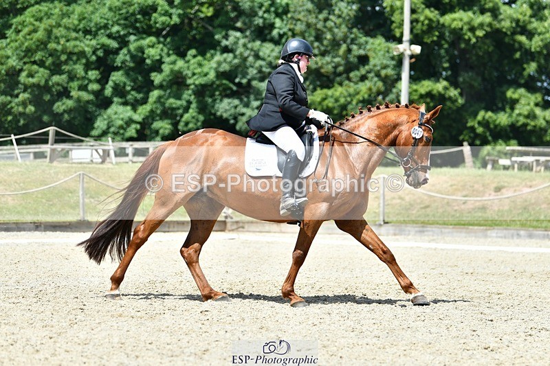 230623-125507-02287 - Cls 4 Novice 37Q 12.45 to End