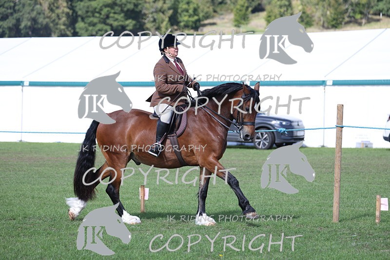 APP_3108 - Class 11 Veterans ridden