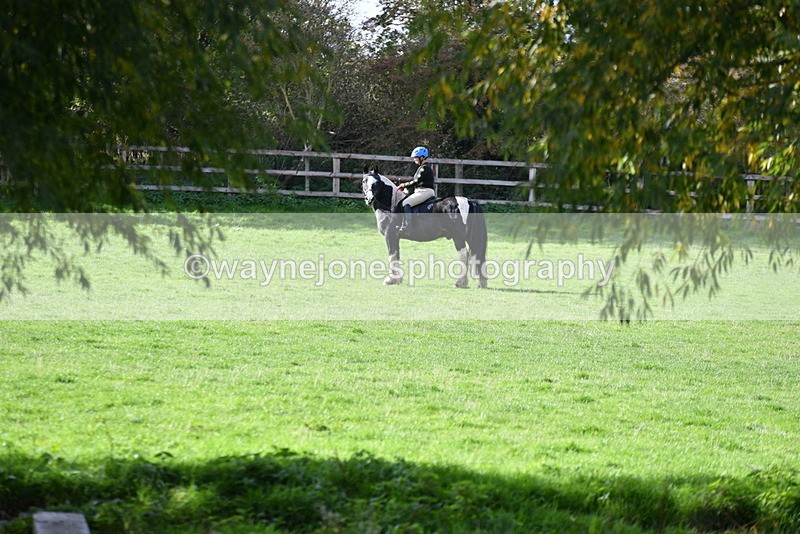 WJ5_8148 - Time 10:31 to 12:01