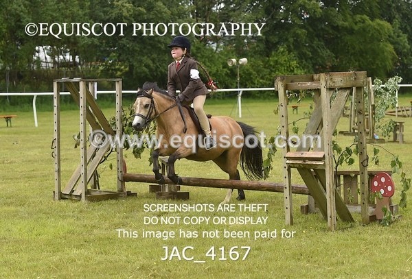 JAC_4167 - 30CM WORKING HUNTER