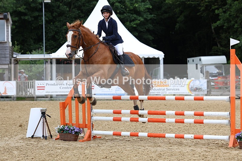 3E7A6454 - Class 4: Senior British Novice/90cm open