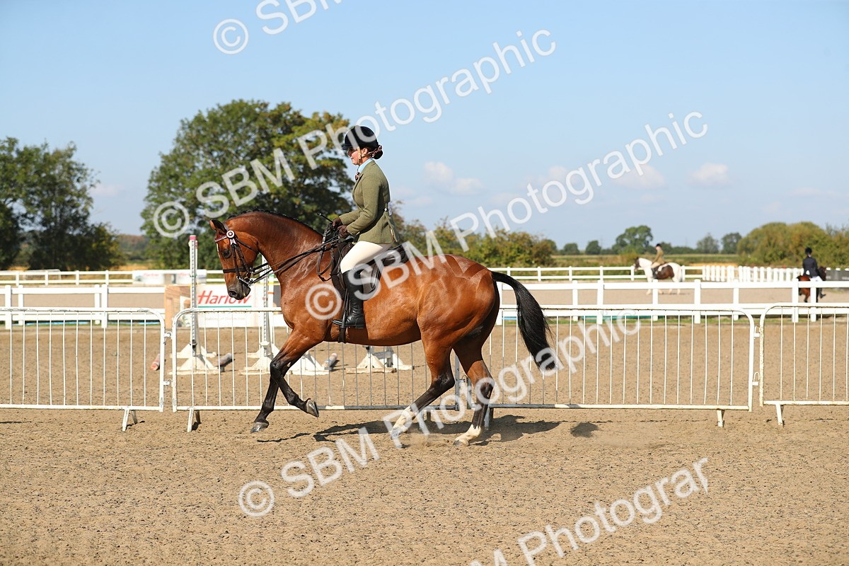SBM_02243 - Class 43 Ridden Competition Horse/Pony