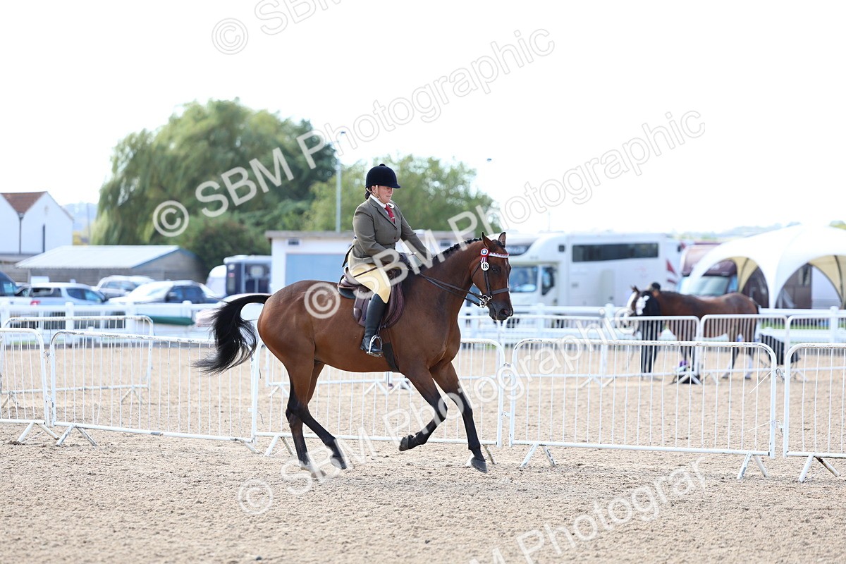 SBM_09119 - Class 303 - Ridden Pure Bred Horse Pony