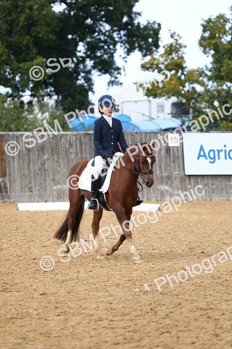 SBM_42658 - D21 - Junior Championship Intro 1