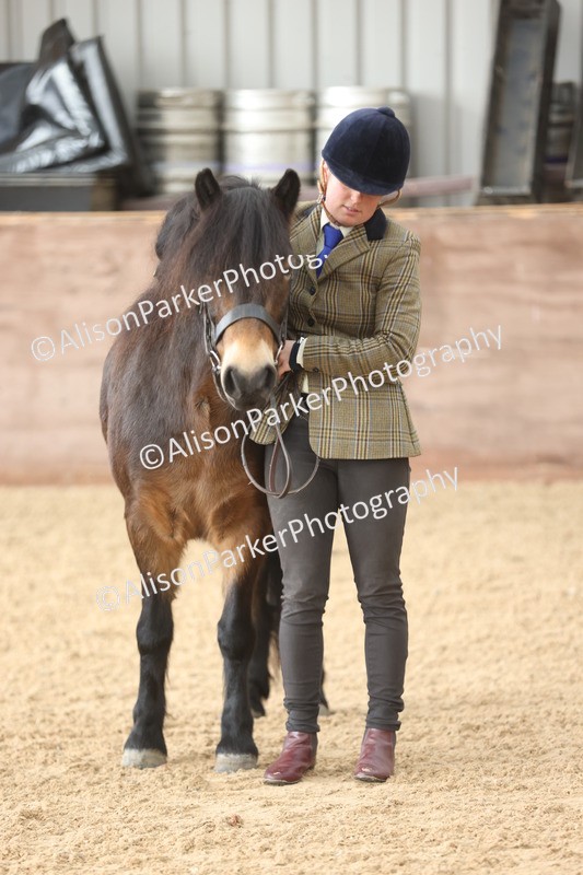 20251109-0658 - Class 22 - Geldings 4 Years and over