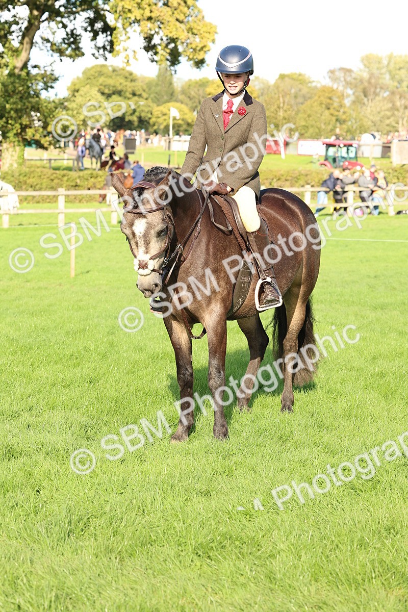 SBM_50174 - S34 - Novice & Newcomers Working Hunter
