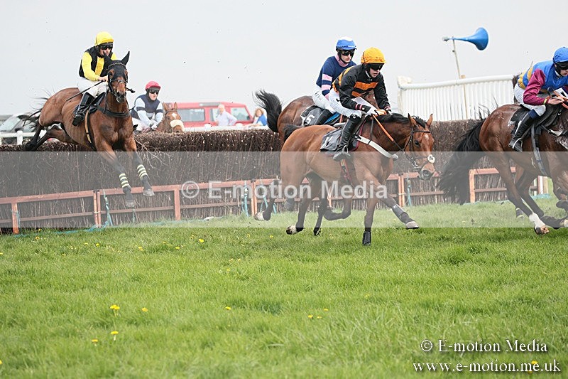 PtP 210418 340 - South & West Wilts Point-to-Point Larkhill 21/04/18