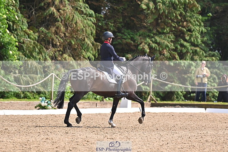 250523A-145648-07395 - B-365-Tom.McEwen-MAESTRO