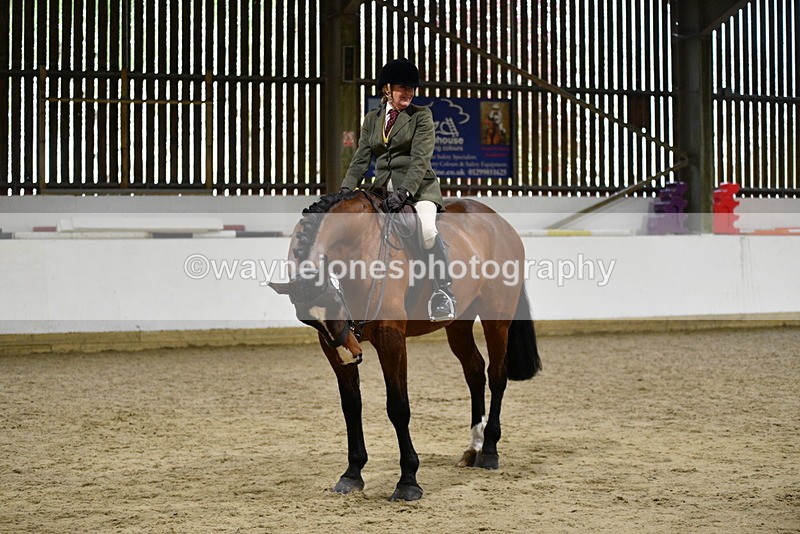 WJ5_8975 - Class 15 Ridden Show Horse