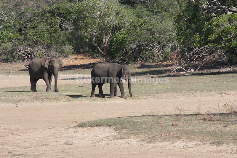  - Travel and culture