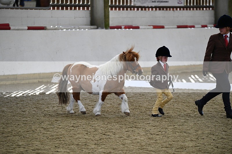 WJ5_4901 - Class 7 In hand coloured / odd coloured