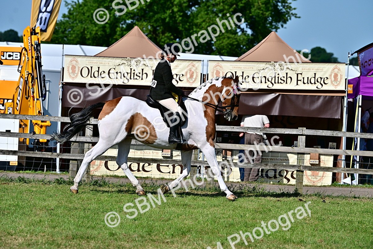 SBM_19549 - Class 101-102 - BSPS LIHS Performance Coloured Horse/Pony