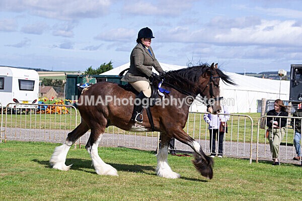 DSC_0249 - Ring 1