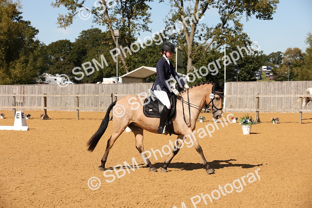 SBM_24149 - D5 - Small Tour Championship - Intro C