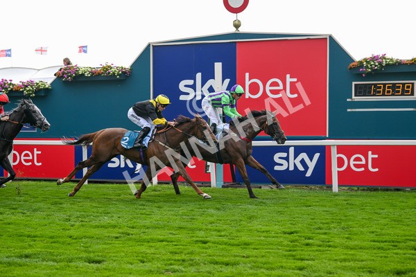 260725-Race 6-Billyb-7913 - Race 6 4.25pm Sky Bet Go-Racing-In-Yorkshire Summer Festival Handicap