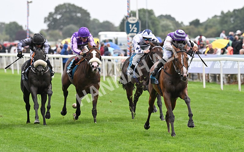 200826-157 Mia Fantasia - Race 6 16.45pm Mews Hotel Ossett EBF Stallions Nursery Handicap