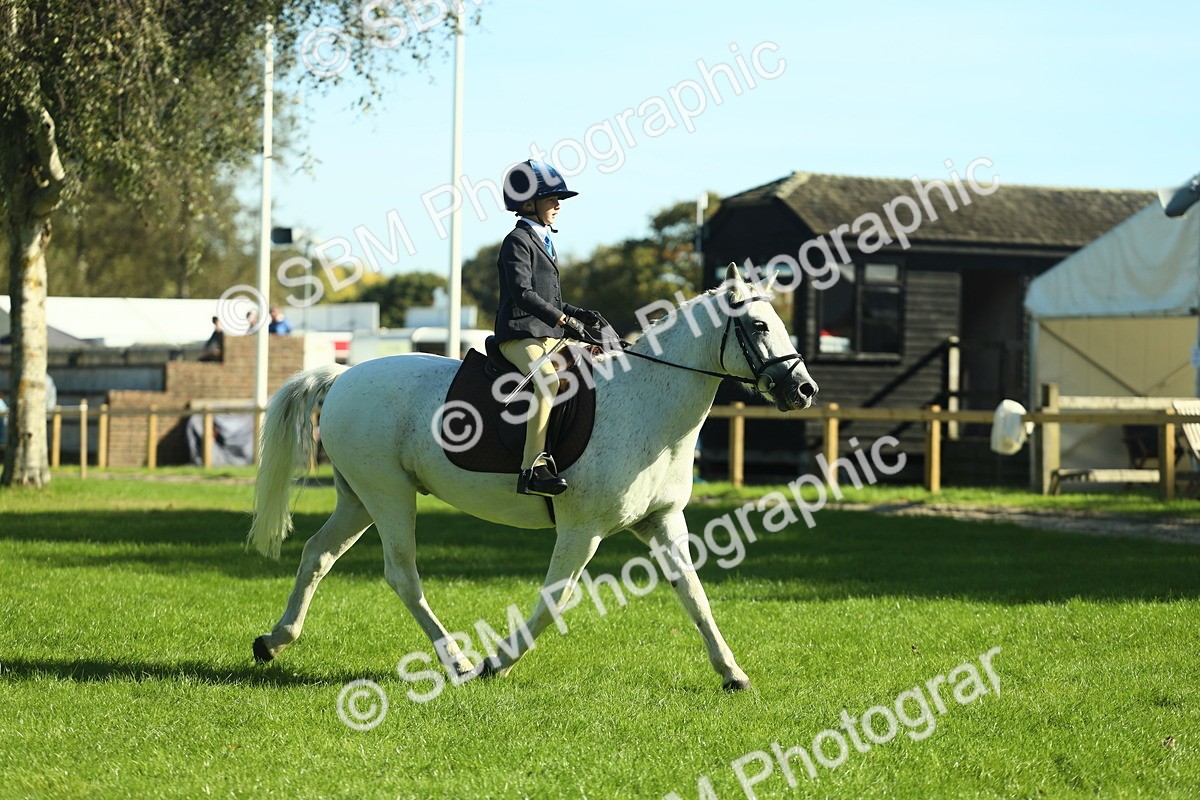 SBM_36479 - S29 - Novice & Newcomers Working Hunter Pony