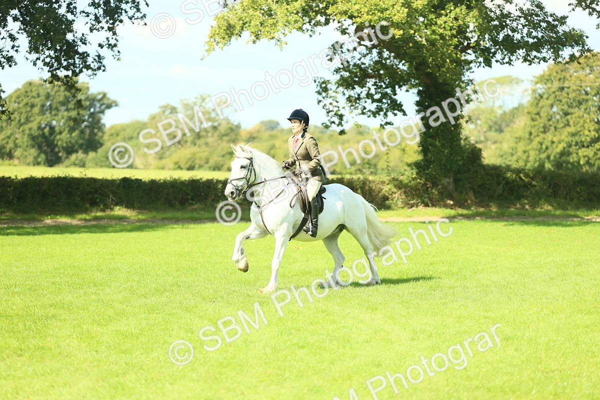 SBM_41992 - S29 - Novice & Newcomers Working Hunter Pony