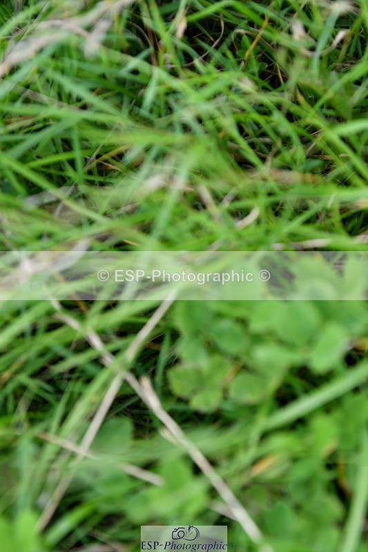 230801A-160325-00217 - Gemma's Ride