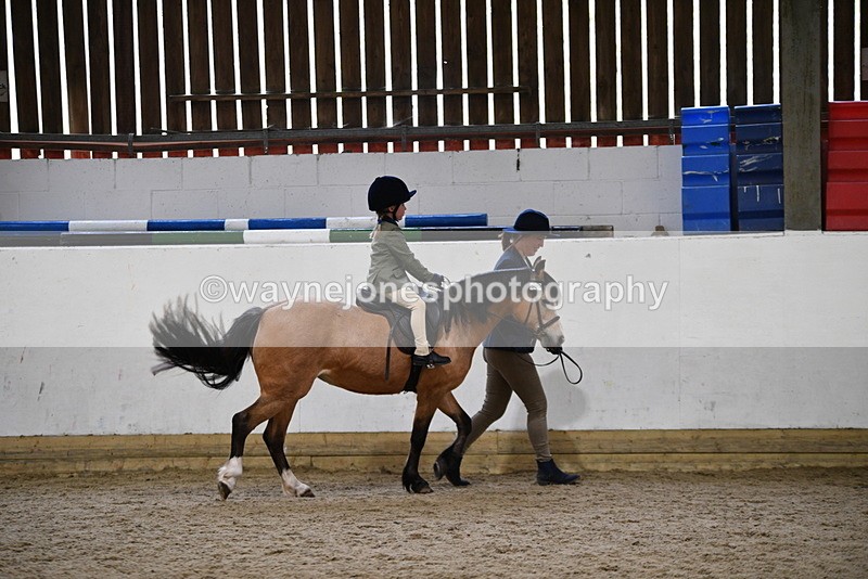 WJ5_6685 - Class 10 Childs Pony