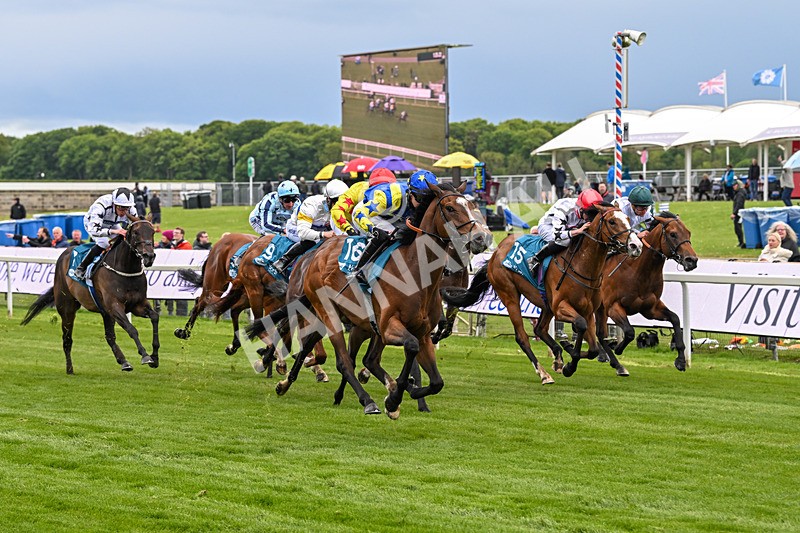 130526-Race 6-Startled-3438 - Race 6 4.40pm Conundrum HR Consulting Handicap