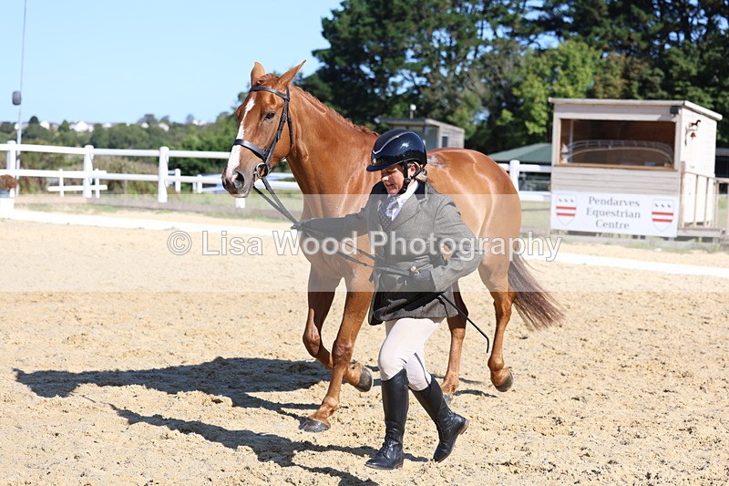 3E7A5593 - Class 9: Open Ridden Hunter