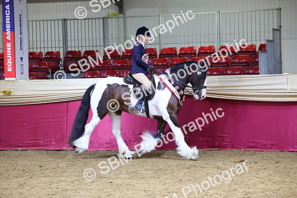 SBM_18594 - Class B Junior Champ 11-16 years