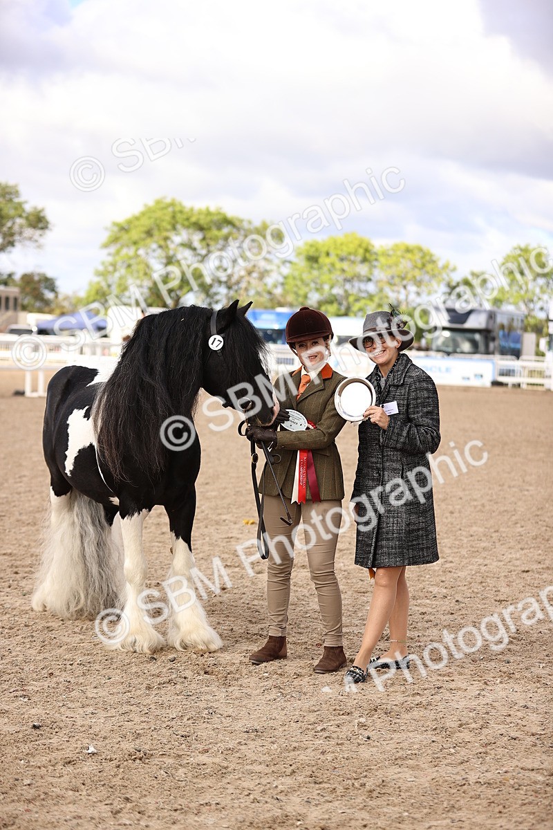 SBM_09323 - Class 404 - IH Traditional - Native Cob