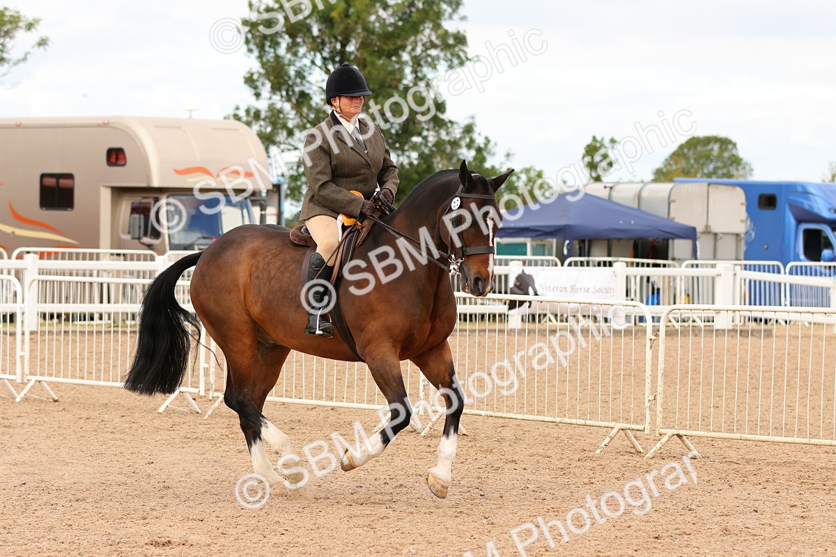 SBM_15626 - Class 214 - Ridden Show Cob