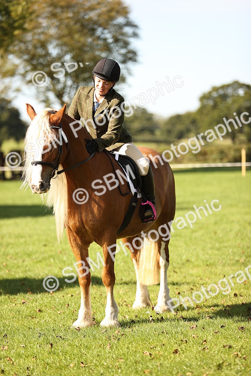 SBM_17004 - S2 - TSR Ridden Pony Showing